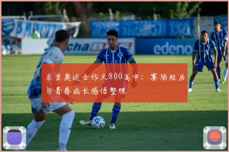 东京奥运会作文800高中:赛场经历与青春成长感悟整理