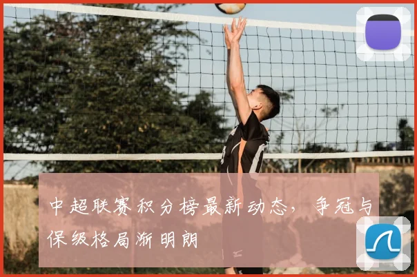 中超联赛积分榜最新动态,争冠与保级格局渐明朗