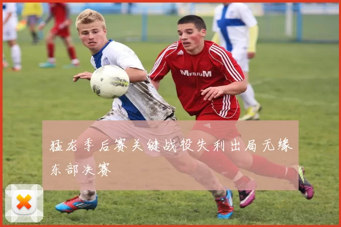 猛龙季后赛关键战役失利出局无缘东部决赛